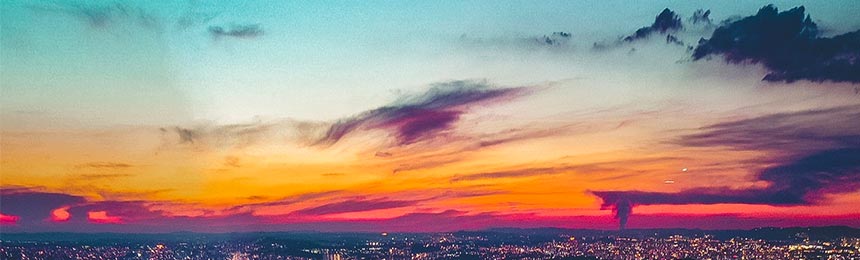 陕西茶虫网_陕西品茶